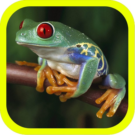 Animals of Planet Earth iOS App