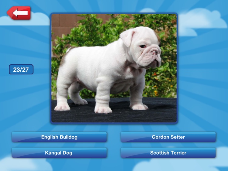 Name That Dog HD Free: The Unleashed Photo Game About Dogs