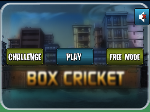 Box Cricket HD screenshot 3