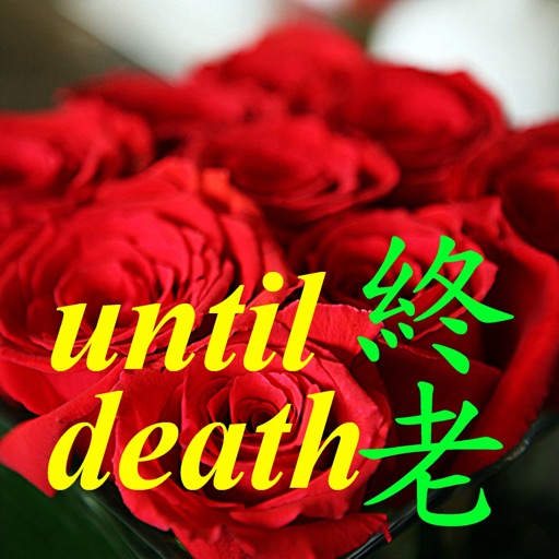 Until Death 終老 icon