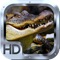 Crocodile Hunter Gold Pro: Sniper Hunting