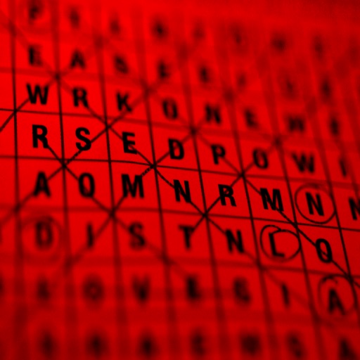 Xmas Word Search