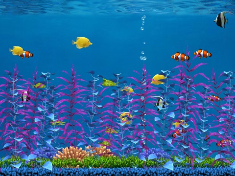 Colorful Aquarium for iPad Lite screenshot 4