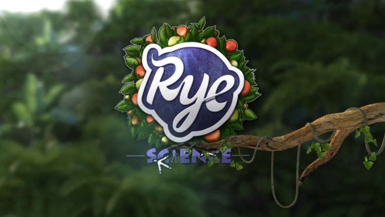 Birds -by Rye Studio™ screenshot-3