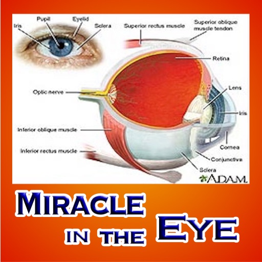 MIRACLE IN THE EYE : Perfect Design , The Eyed and Technology , Animal and Insect Eyes ,The eye's focusing mechanism icon