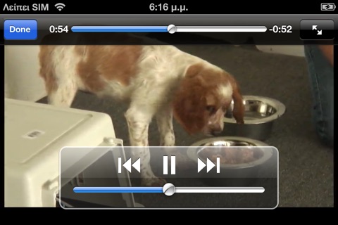 Puppy Training Videos screenshot 3
