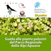 Guida alle piante palustri del Parco Regionale delle Alpi Apuane