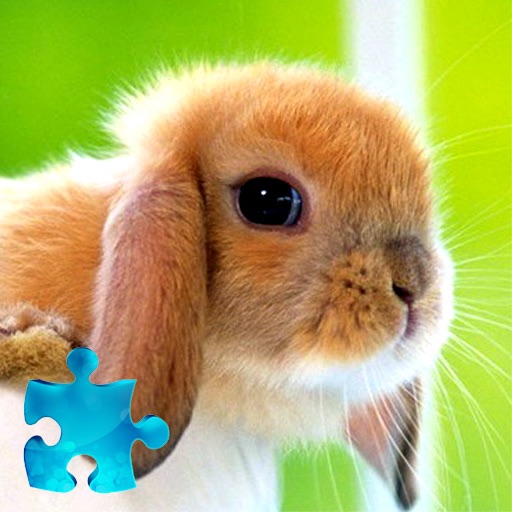 Bunny Jigsaw Puzzle - Free iOS App