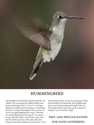 Birds Magazineのおすすめ画像2
