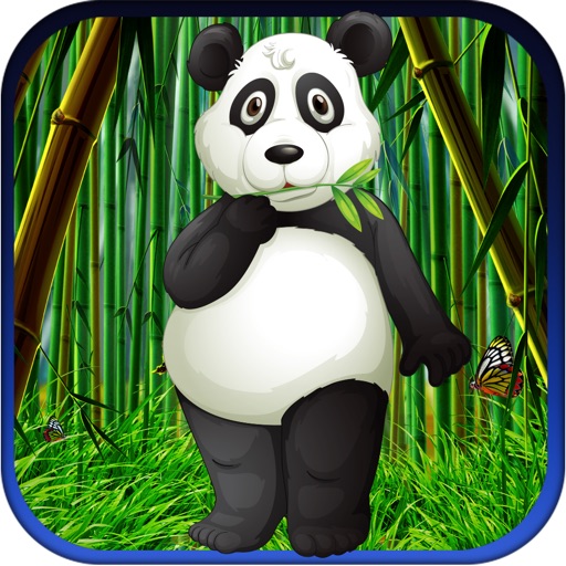 Fat Hungry Panda Bounce Master Pro iOS App