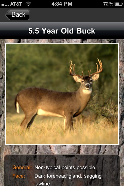 Deer Scoring & Field Aging Guide