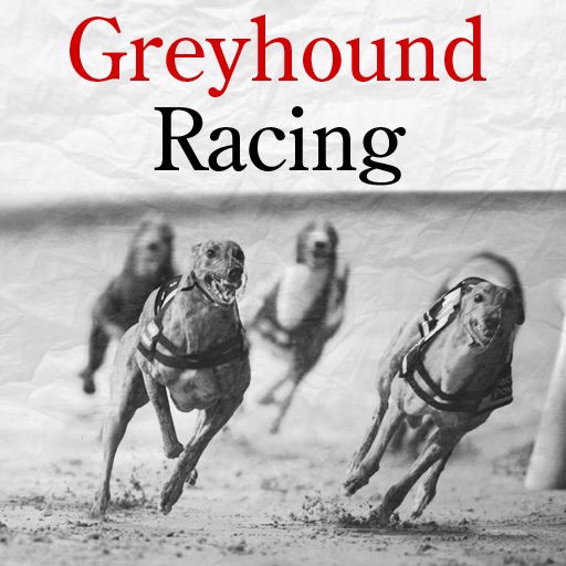Greyhound Racing Icon