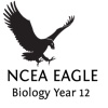 NCEA Biology Year 12