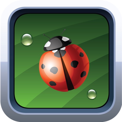 Bug Exit iOS App