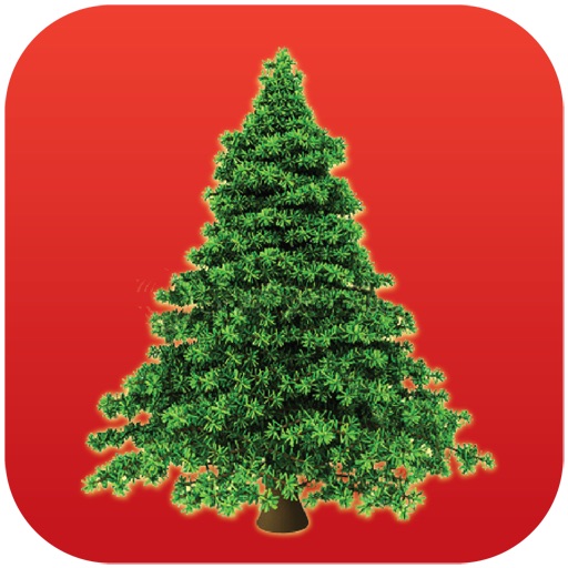 Christmas 3D Icon