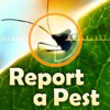 Report A Pest