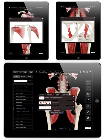 Muscle System Pro III screenshot 4