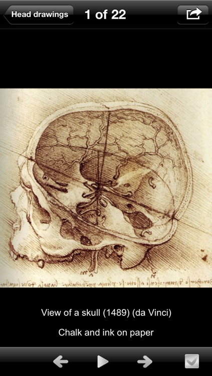 Drawings: Anatomy Masters