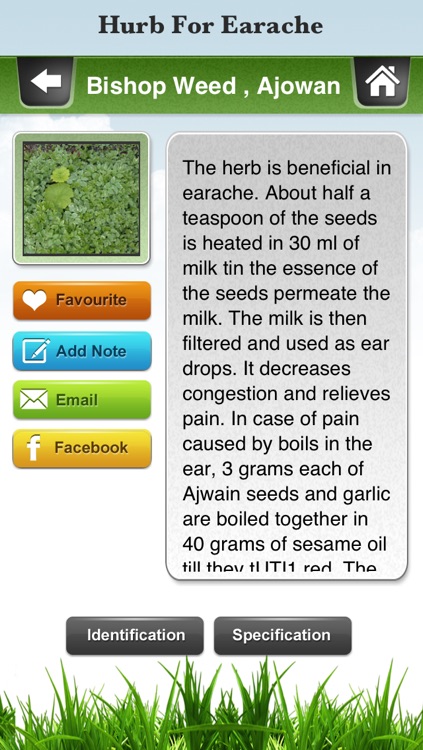 Herbs that Cures screenshot-4