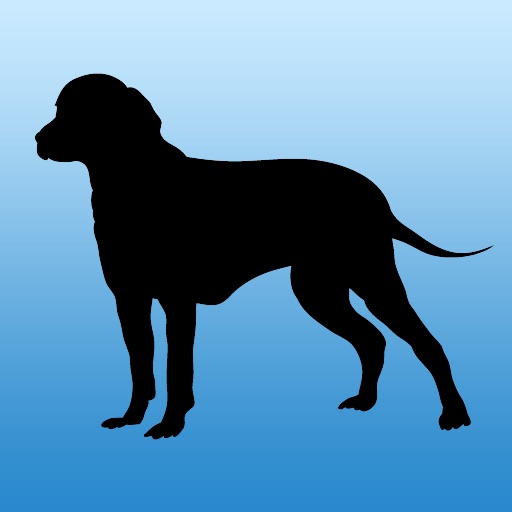 Dog Breed Trivia