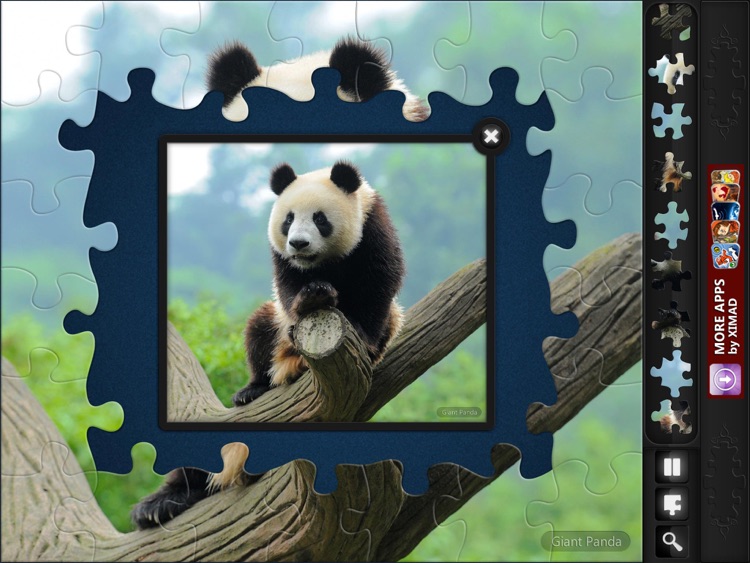 Jigsaw Puzzles: Endangered Species