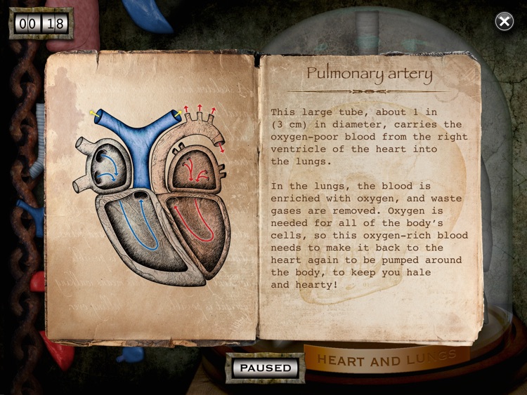 Dr. Frankenstein's Body Lab screenshot-3