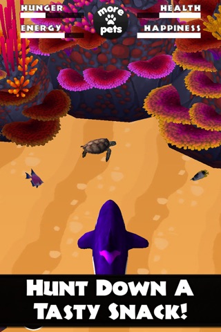 Virtual Pet Orca - The Killer Whale screenshot 2