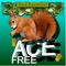 Ace Squirrel Nut Catcher FREE Version.