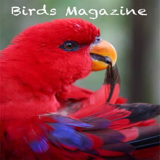 Birds Magazine iOS App