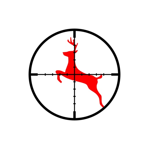 Video Scope Sight