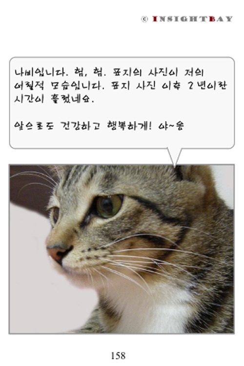 고양이키우기 screenshot-4