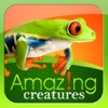 Amazing creatures