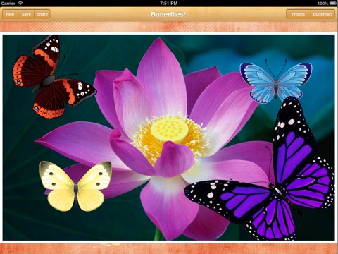 My Butterflies! screenshot 2
