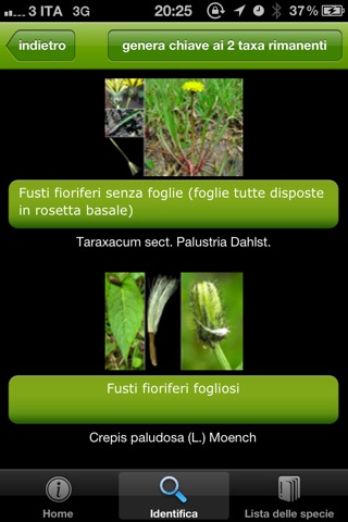 Guida alle piante palustri del Parco Regionale delle Alpi Apuane screenshot 2