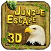 Jungle Bird Escape Pro