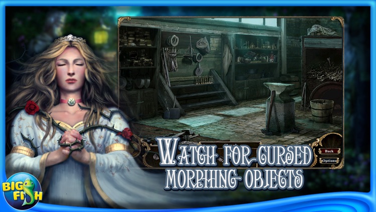 Dark Parables: Curse of Briar Rose Collector's Edition (Full)