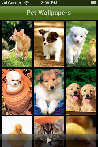Pet Wallpaper