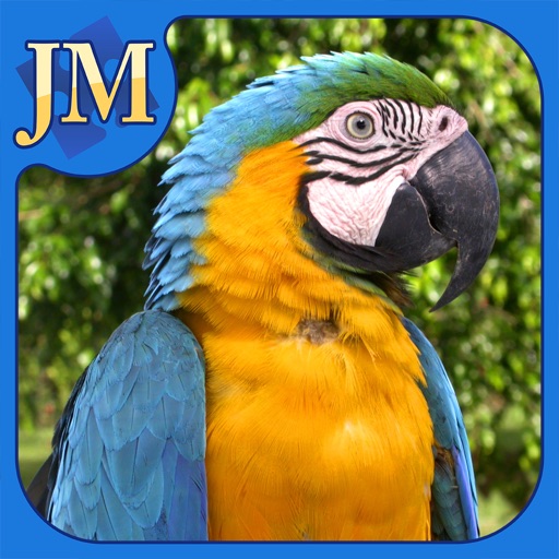 Birds Jigsaw icon