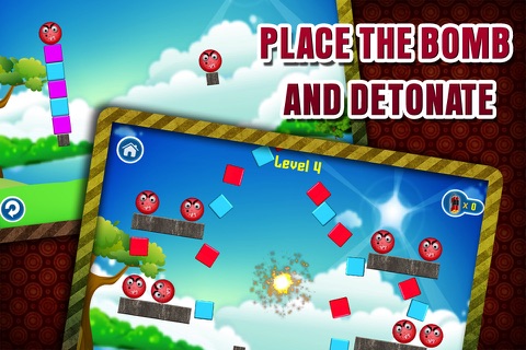 Bomb Detonation screenshot 2