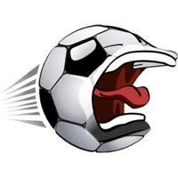 Choose a company Fish Soccer
