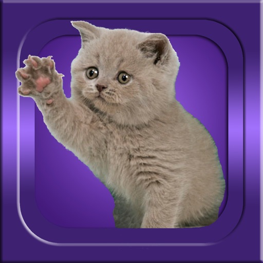 Guess It - Cat Breeds icon