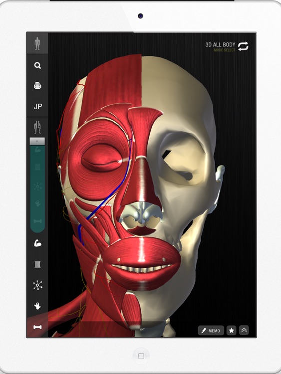 teamLabBody -3D Motion Human Anatomy Lite (Head and Neck)-