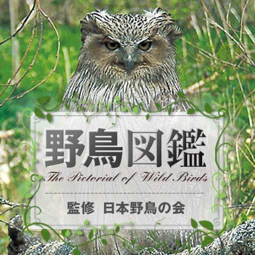 日本野鳥の会監修 野鳥図鑑