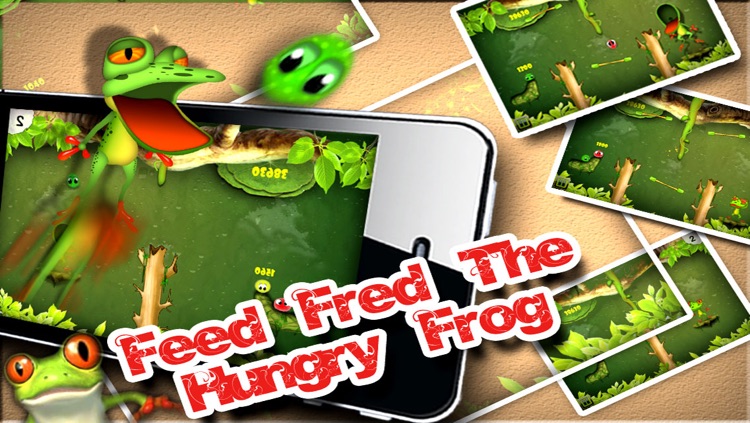 Hungry Froggie