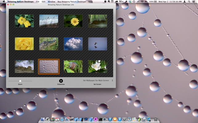 Amazing Nature Desktops Lite(圖3)-速報App