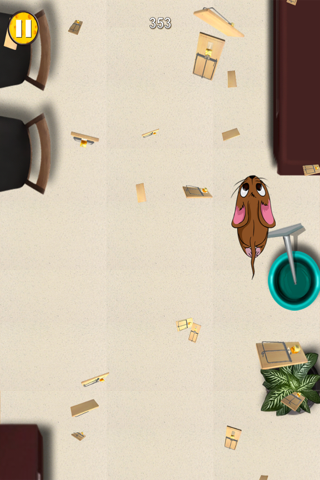 Mouse Chase - Top Best Free Endless Cat Race Escape Game screenshot 3