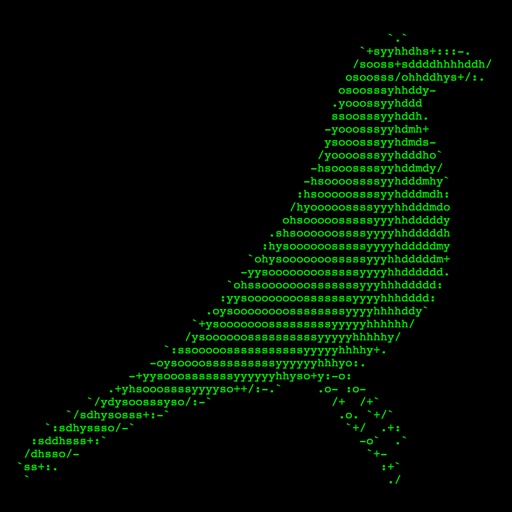 Ascii Bird Game Icon
