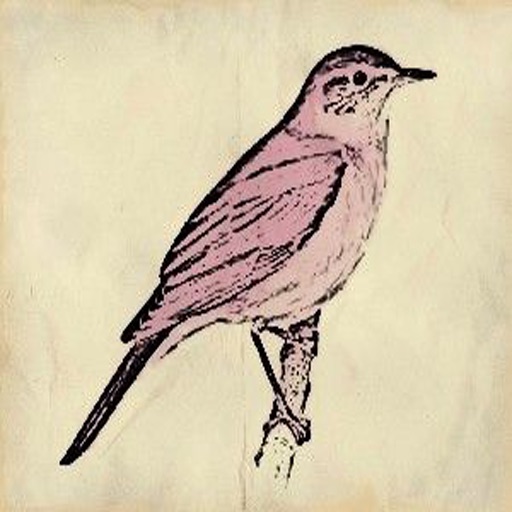 Nightingale 's - Tree and Wood Dwellers to Your Device icon