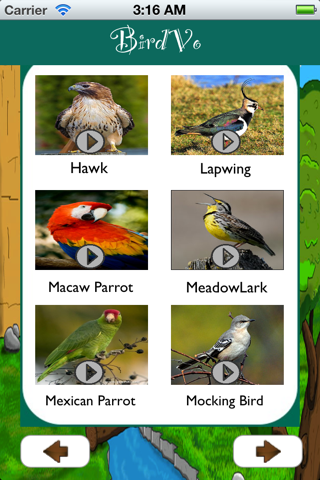 Birds Sounds App ~ BirdVo ~ Bird Voices screenshot 2