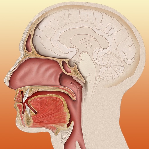 Anatomy of the Mouth icon